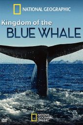 Królestwo płetwala błękitnego